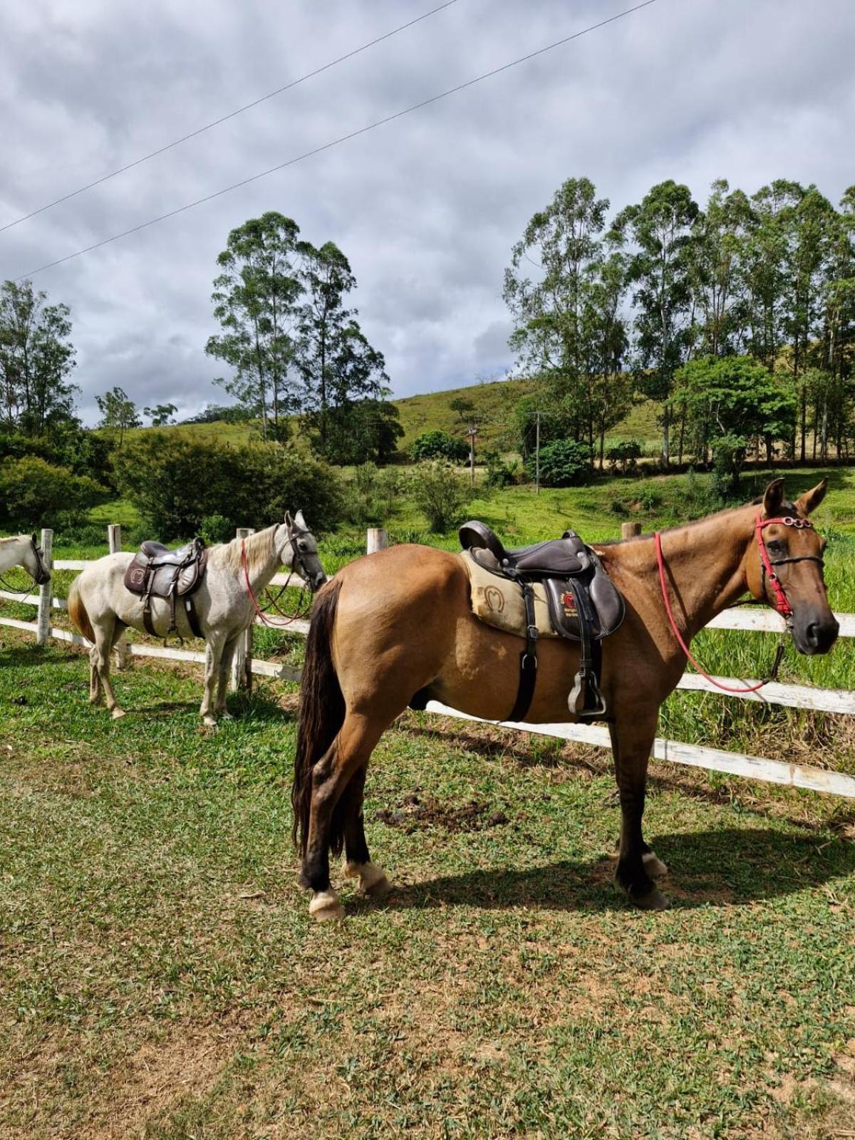 Pousada Rural E Pesqueiro Chale Da Serra Conceição da Ibitipoca Exteriör bild